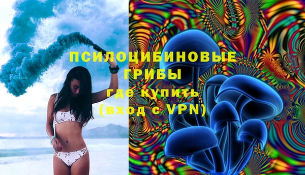 тгк Алзамай