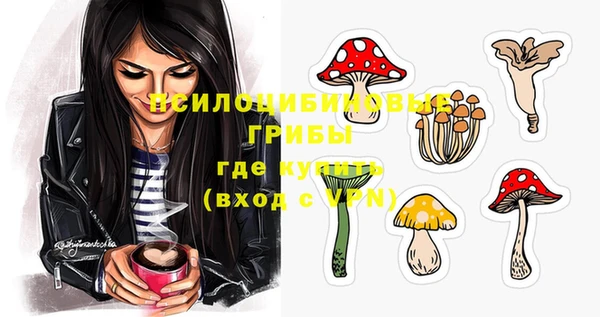 прущий лед Пересвет