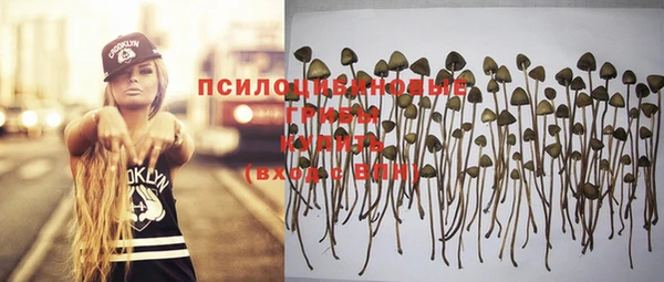 тгк Алзамай